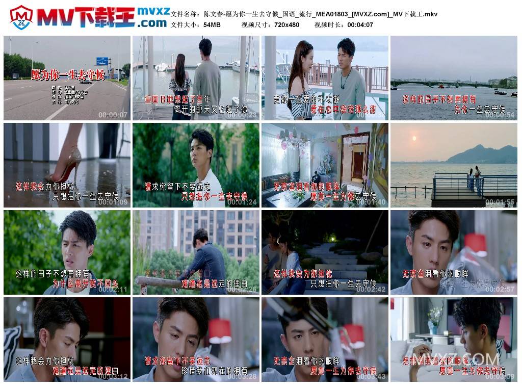 陈文春-愿为你一生去守候_国语_流行_MEA01803